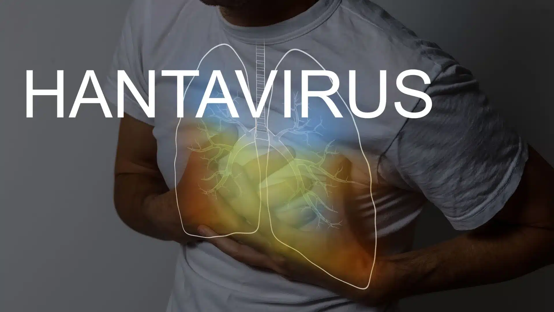 Hantavirus