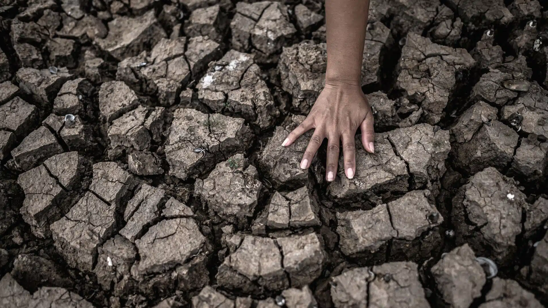 hand on dry cracked land